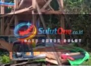 PETI Huntuk Kembali Bergerak, Siapa Aktor yang Bermain di Balik Tambang Ilegal?