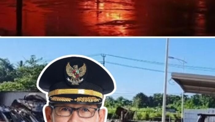 LSM GTI Angkat Bicara Terkait Kebakaran di PT Futai: Fikri Alkatiri Nilai Peristiwa Ini Cerminan Kegagalan Pemerintah dan APH dalam Menangani Konflik Lingkungan