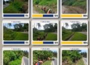 BPJN Sulut Intensifkan Pemeliharaan Jalan Nasional, Tingkatkan Keselamatan dan Kenyamanan Pengguna Jalan
